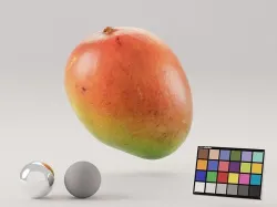 Mango Photoscan 3D model
