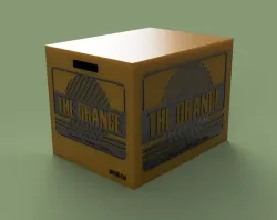 Metal Gear Solid Cardboard Box