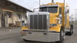 Peterbilt 359 3D model