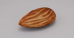 Photo-Realistic Almond Seed 3D Model Low-poly 3D model