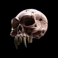 Skull Spider 3D model