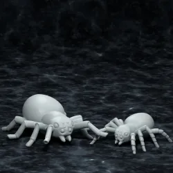 Spiders