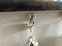 Wall mounted ring
