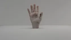 3D Hand Animated Rigged Low-poly 3D model