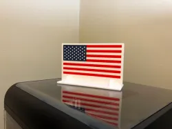 American Flag (3D print)