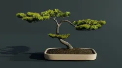 Bonsai Tree Juniper 3D model