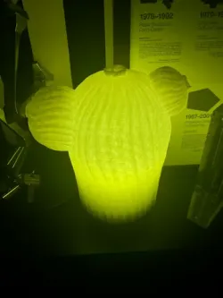 Cactus Light