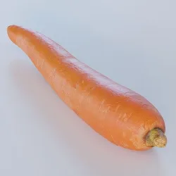 Carrot  3D model