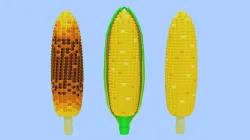 Corn 001 3D print model