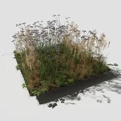 Cornflower Meadow Patch 3D model