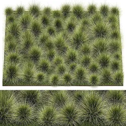 decorative bushes feather grass grass for landscape design 1150 3D model