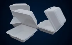 Disposable - Food Styrofoam Container 3D model