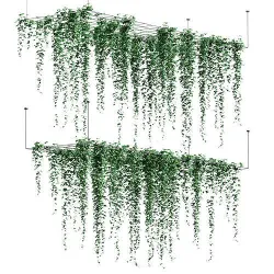 Ivy hanging from the ceiling on a trellis - 6 models 3D model