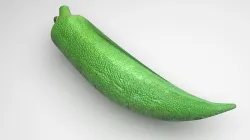 Lady Finger 3D model