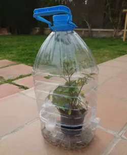 Mini Greenhouse