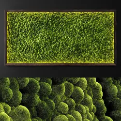Moss wall 2 3D model