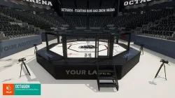 Octagon - fighting ring and show arena 3D model