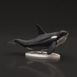 Orca for 3D Printing 3D print model