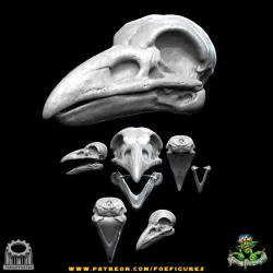 Realistic Kenku Skull
