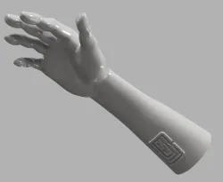 Right Hand Reference