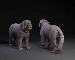 saint bernard drank some light - Saint Bernard Gx5YAJJS 200 