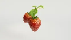 STRAW BERRY 3D model