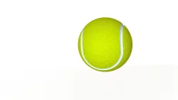 Tennis Ball