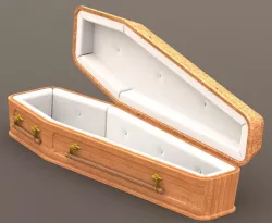 19th century Wooden Coffin