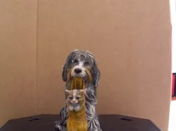 A dog with a cat