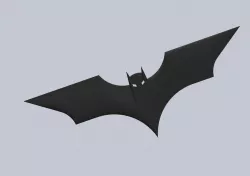 Batman Boomerang