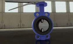 Butterfly valve
