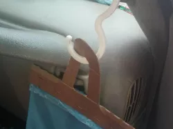 Car Handle hook
