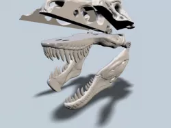 Exploded T-Rex Skull