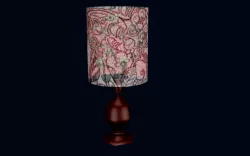 LAMP 3   ARİEN