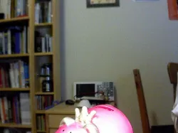 Miss Piggy Bank