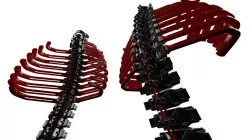 paXcyborG Ribs on backbone