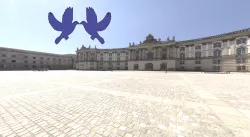 Pigeon / Golubovi / Golub