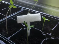 Plant sign