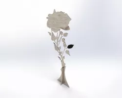 Rosa