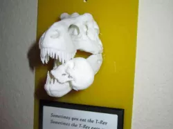 T-Rex says