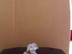 Tiny rabbit