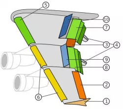 Wing cross section