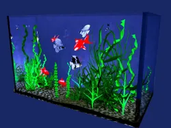 AQUARIUM HARVEY FONSECA