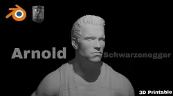 Arnold Schwarzenegger Predator 3D Printable Model 3D print model