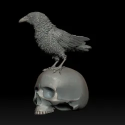 bird crow scull