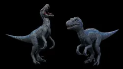 Blue Raptor - Velociraptor  Low-poly 3D model
