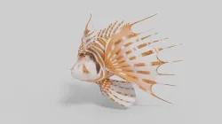 Broadbarred Farefish 3D Model 3D model