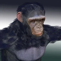Chimpanzee Ape Rig 3D model