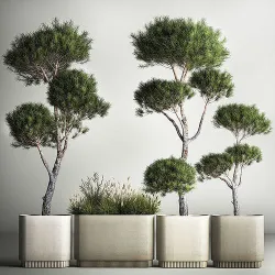 Decorative Pine Topiary In A Garden Flowerpot 1177 3D model