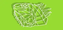 Geometric Iguana